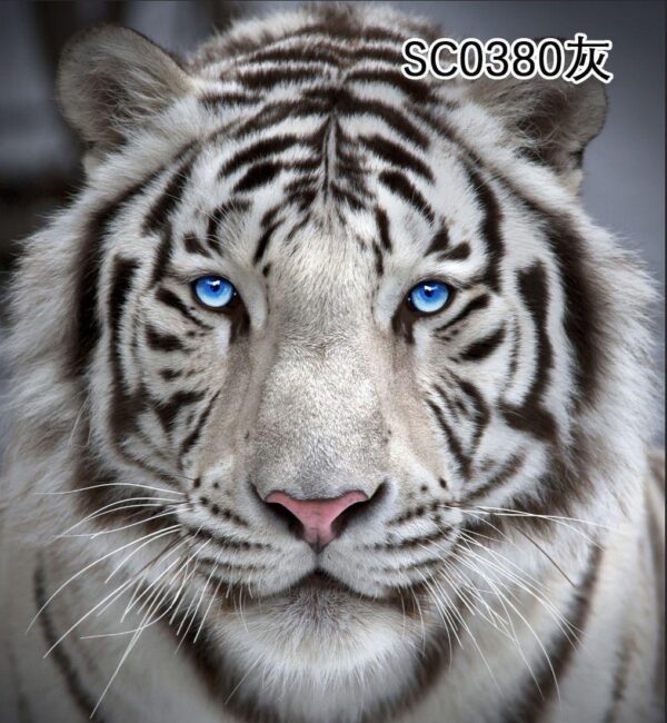 3D White Tiger Animal Throw